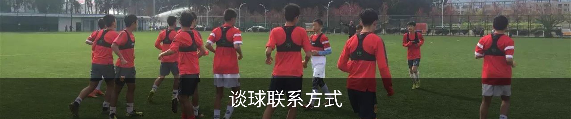 谈球联系方式